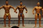 13-NZIFBB-Nats00954.JPG