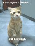 00-cat