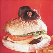 14-labmiceburger.jpg