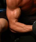 14-armcurl.jpg