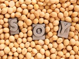 14-soy.jpg