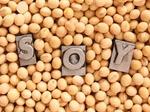 14-soy.jpg