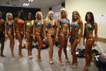 14-WFF-chchMay0205.JPG