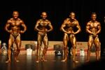 14-WFF-May170626.JPG