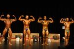 14-WFF-chchMay0074.JPG
