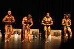 14-WFF-chchMay0090.JPG