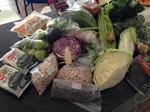 14-AllyC-food.jpg