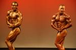 15-WFF-WestAklWFF-nabba0092.JPG