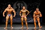 IMG_9758 - nabba men 40+ & class 3.jpg