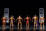 IMG_0594 - wff athletic novice.jpg