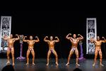 IMG_1082 - nabba masters o40.jpg