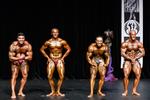 IMG_1291 - nabba class 2 & international class 2.jpg