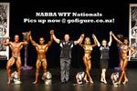 15-WFF-Natsoall copy