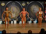 15-WFFSA-nic2.jpg