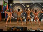 15-WFFSA-nic9.jpg
