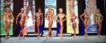 15-inba-senfigline.jpg