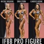 16-ifbbfigurepro