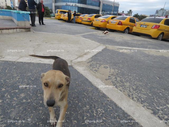 16-havana0026.JPG