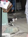 16-havana0059.JPG