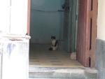 16-havana0115.JPG