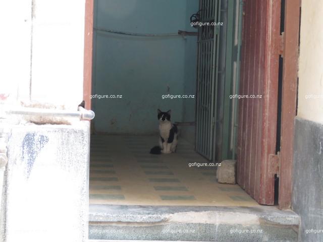 16-havana0115.JPG