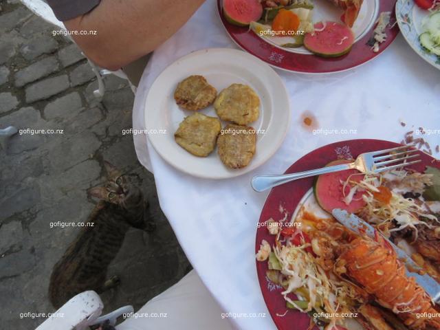 16-havana0136.JPG