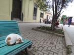 16-havana0145.JPG