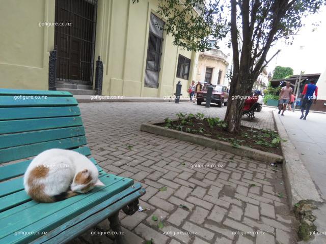 16-havana0145.JPG