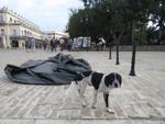 16-havana0164.JPG