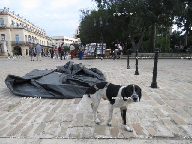 16-havana0164.JPG