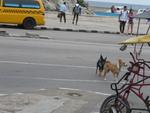 16-havana0193.JPG