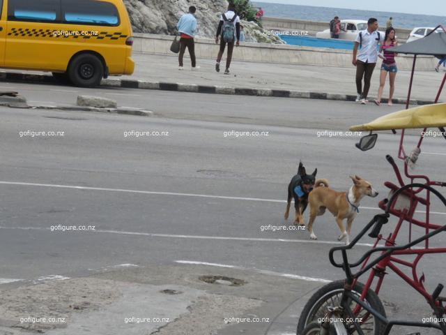 16-havana0193.JPG