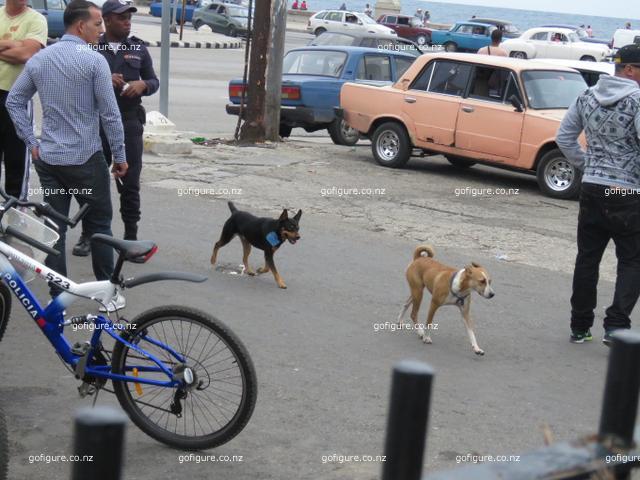 16-havana0195.JPG