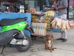16-havana0196.JPG