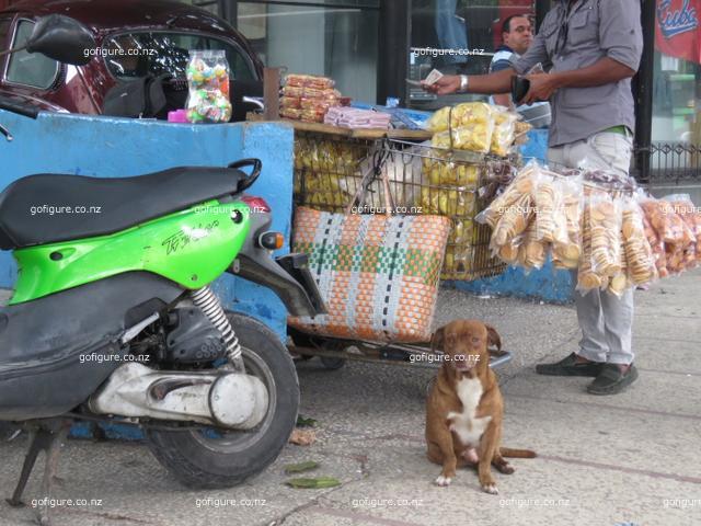 16-havana0196.JPG