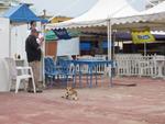 16-havana0224.JPG