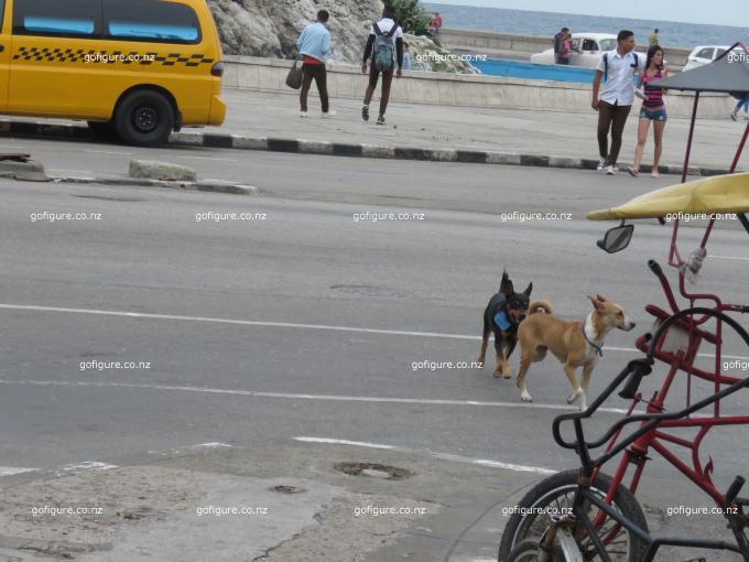 16-havana0193.JPG