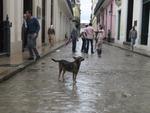 16-havana0266.JPG