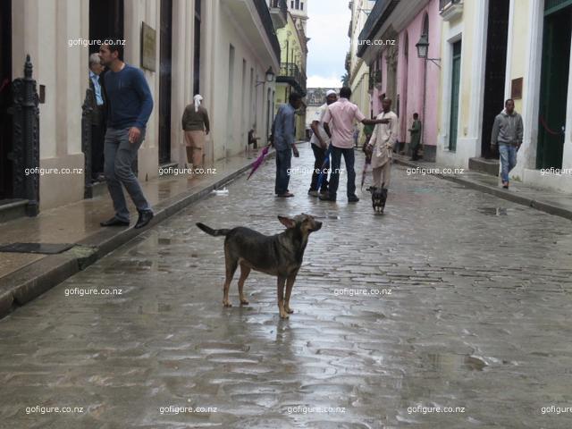 16-havana0266.JPG