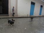 16-havana0271.JPG