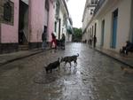 16-havana0273.JPG