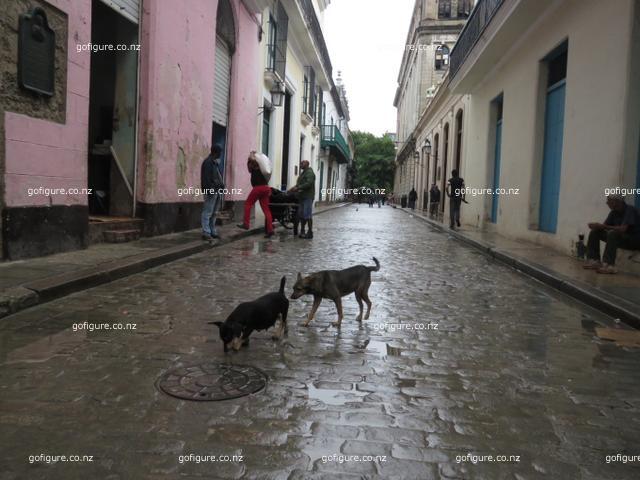 16-havana0273.JPG