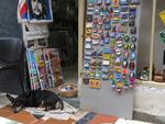 16-havana0276.JPG
