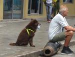 16-havana0278.JPG