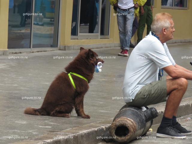 16-havana0278.JPG