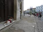 16-havana0283.JPG