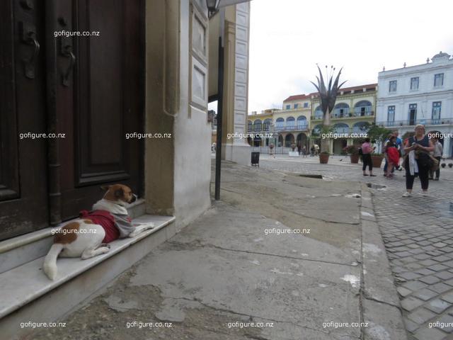 16-havana0283.JPG