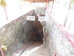 16-Lisa-cenote2.jpg