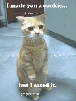 00-cat