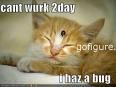 00-sickcat